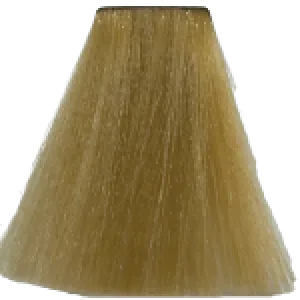 Augeas Professional Hair Color - 9.0 Very Light Blonde