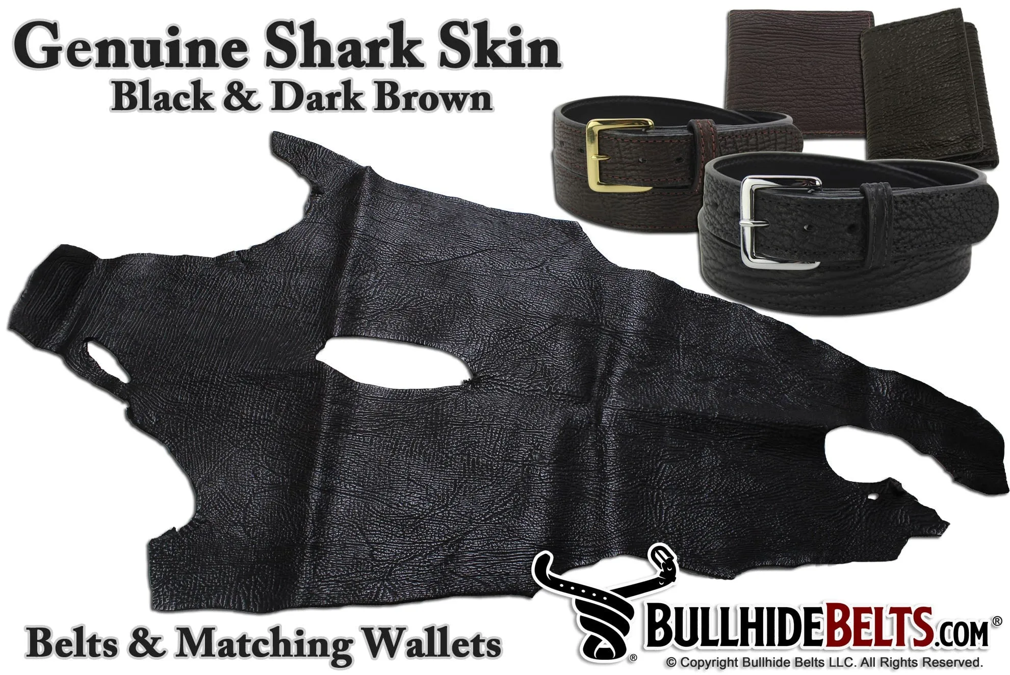 Black Shark Money Clip Wallet With Credit Card Slots