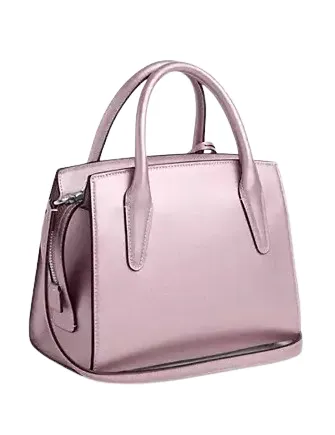 Coach Andrea Carryall Bag