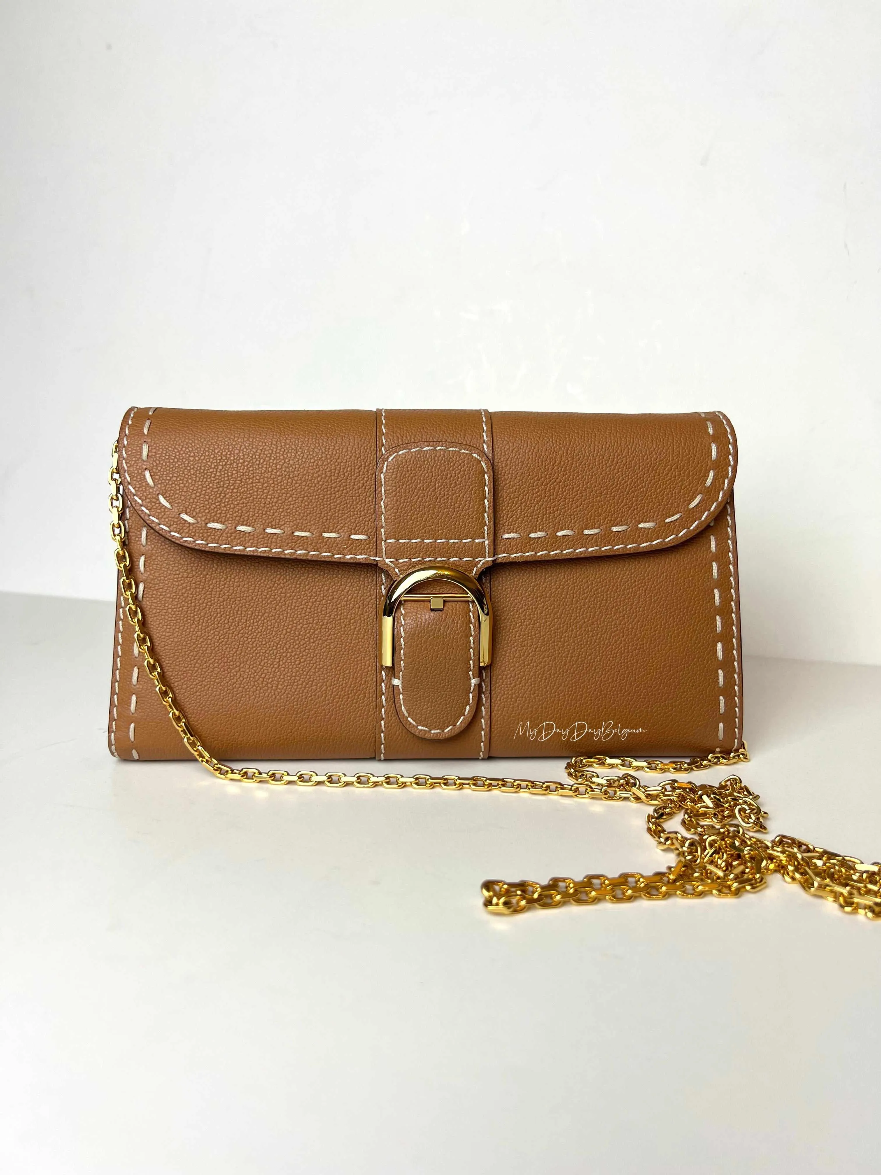 Delvaux Brillant Long Wallet Chain vegetal 2021