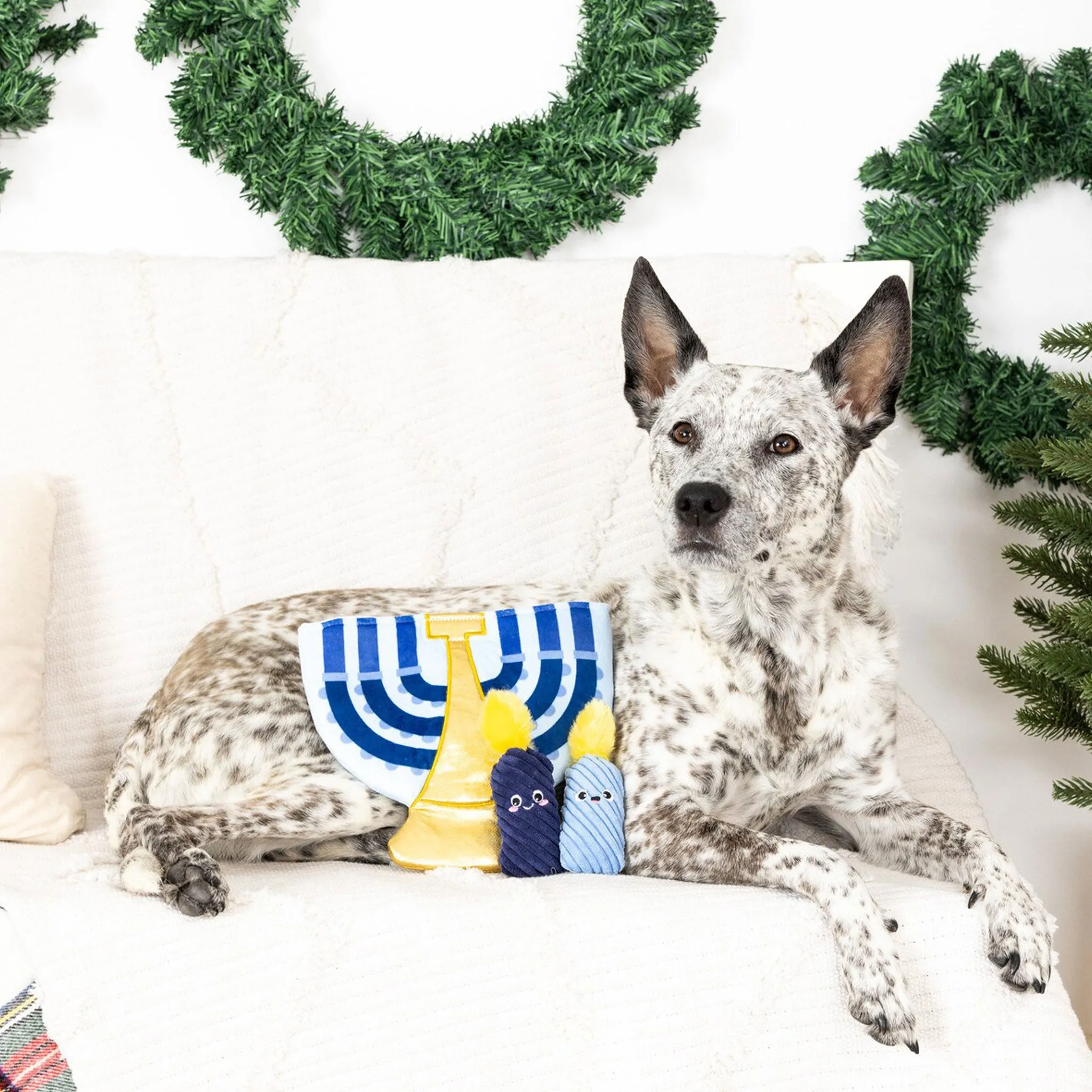 Fringe A Lit Hanukkah Burrow Dog Toys - 3 pack