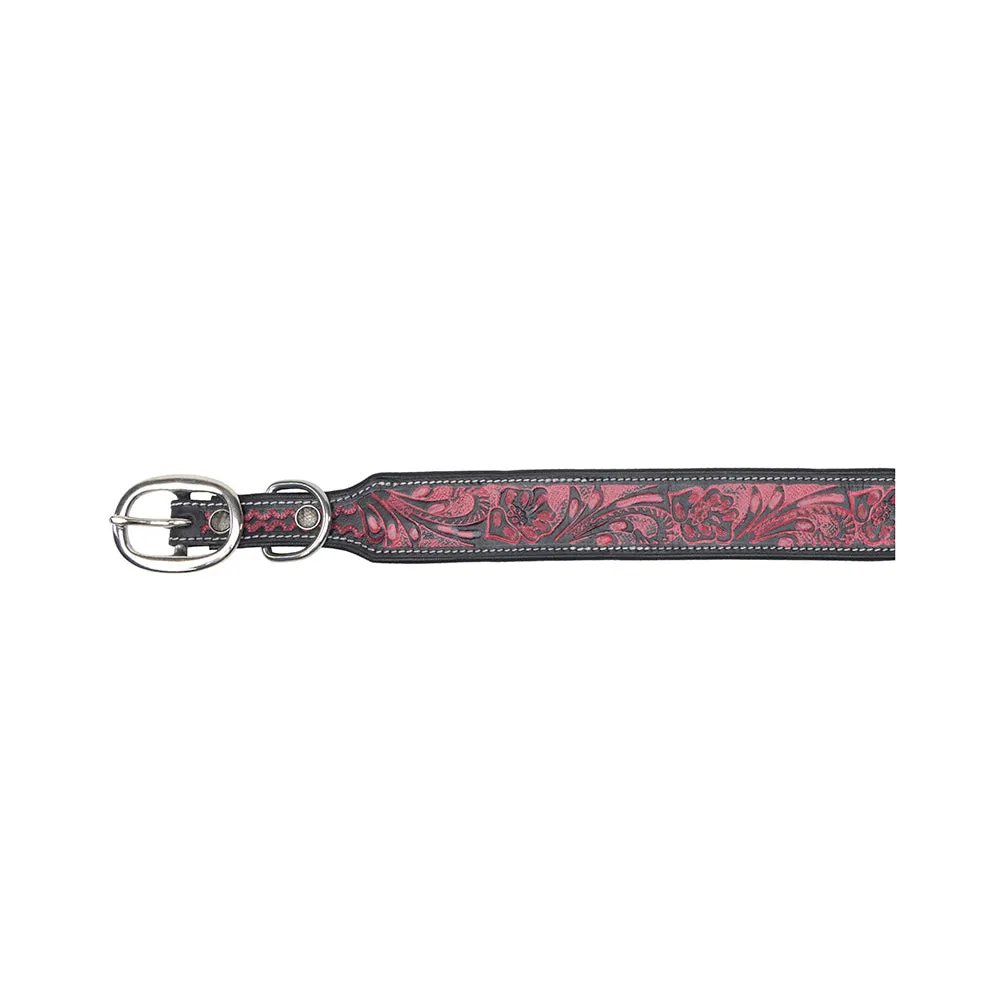 Lucky Diego Hand-tooled Dog Collar