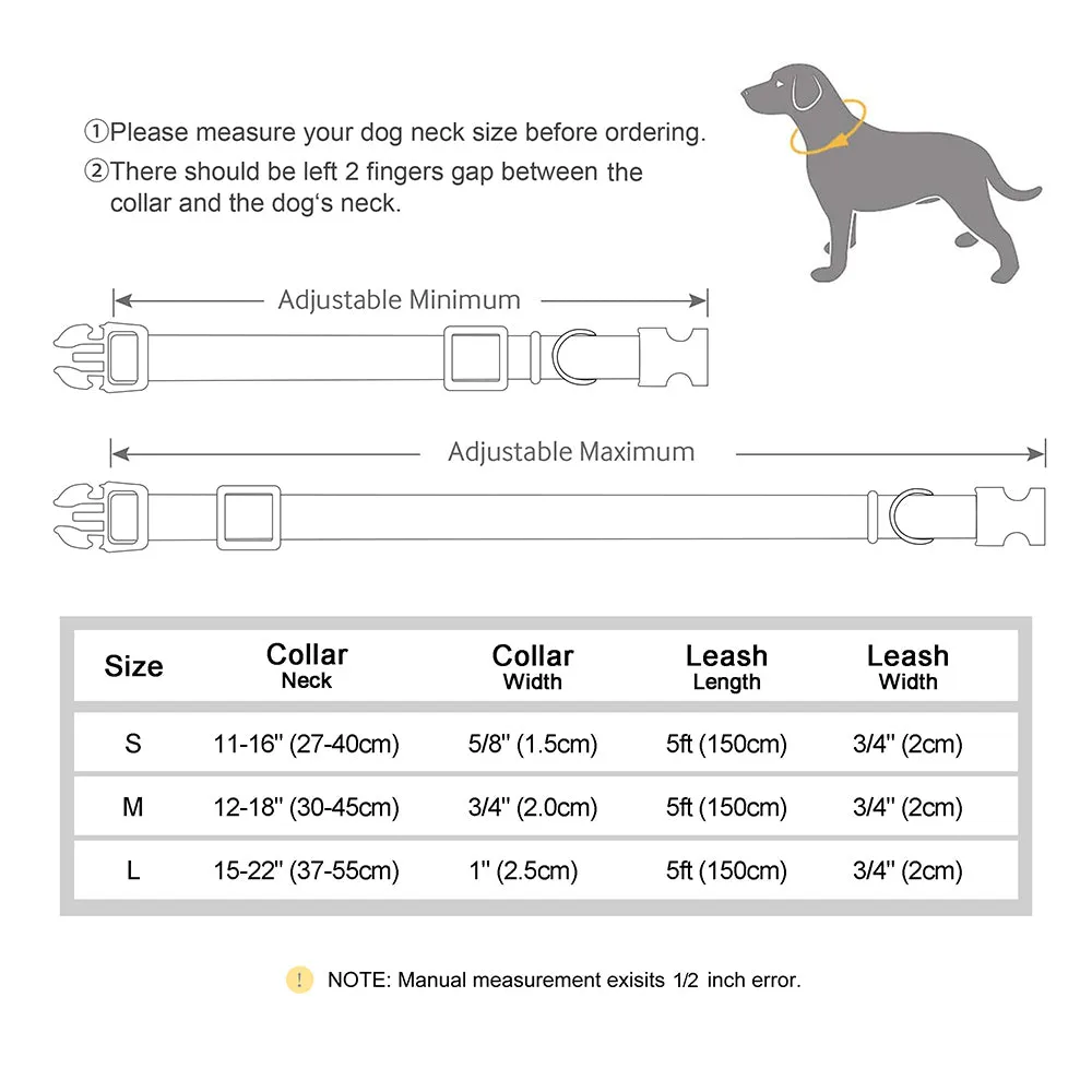 LuxeLead Personalized Frenchie Collar Leash Set - Quality Craftsmanship