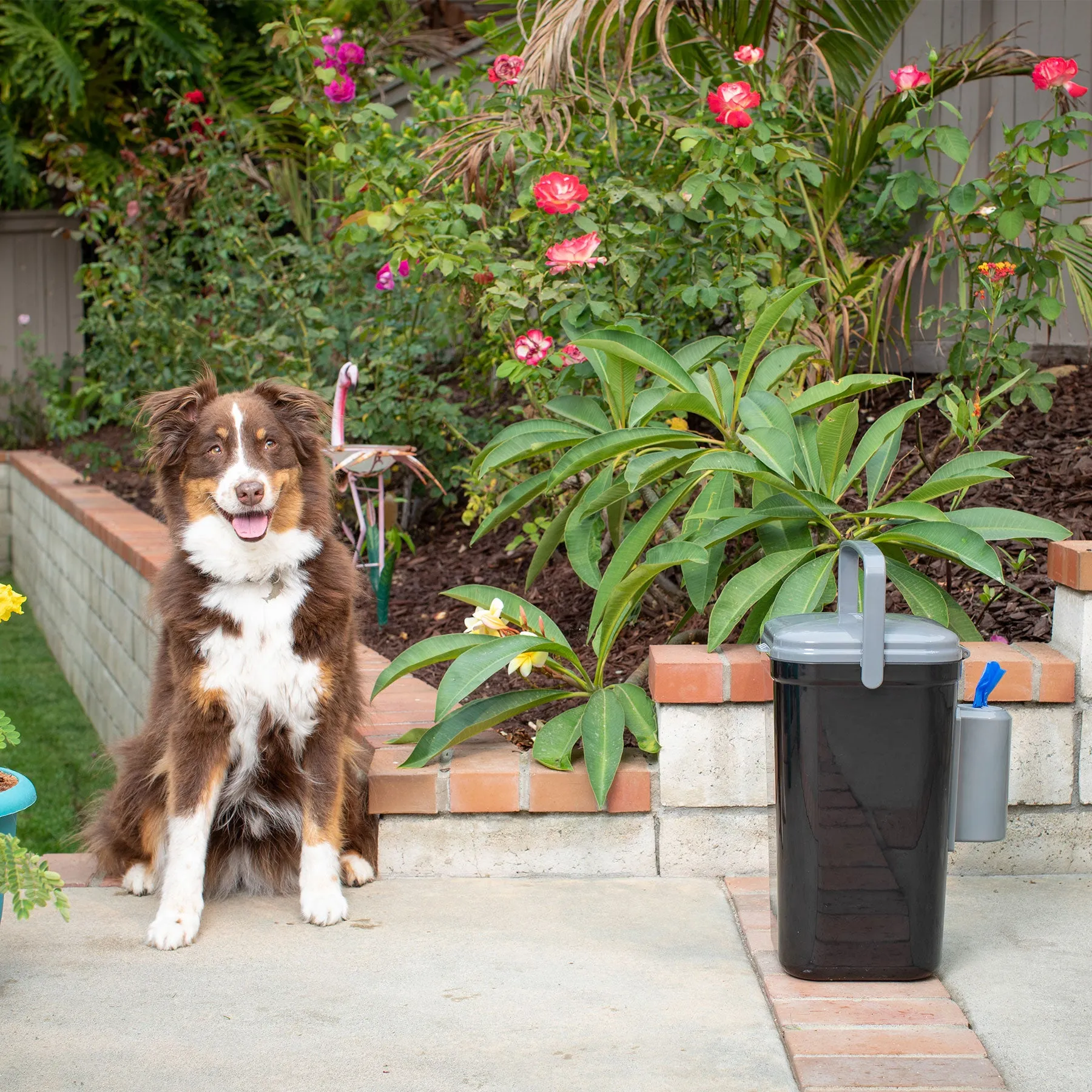 PetFusion Portable Outdoor Pet Waste Disposal System