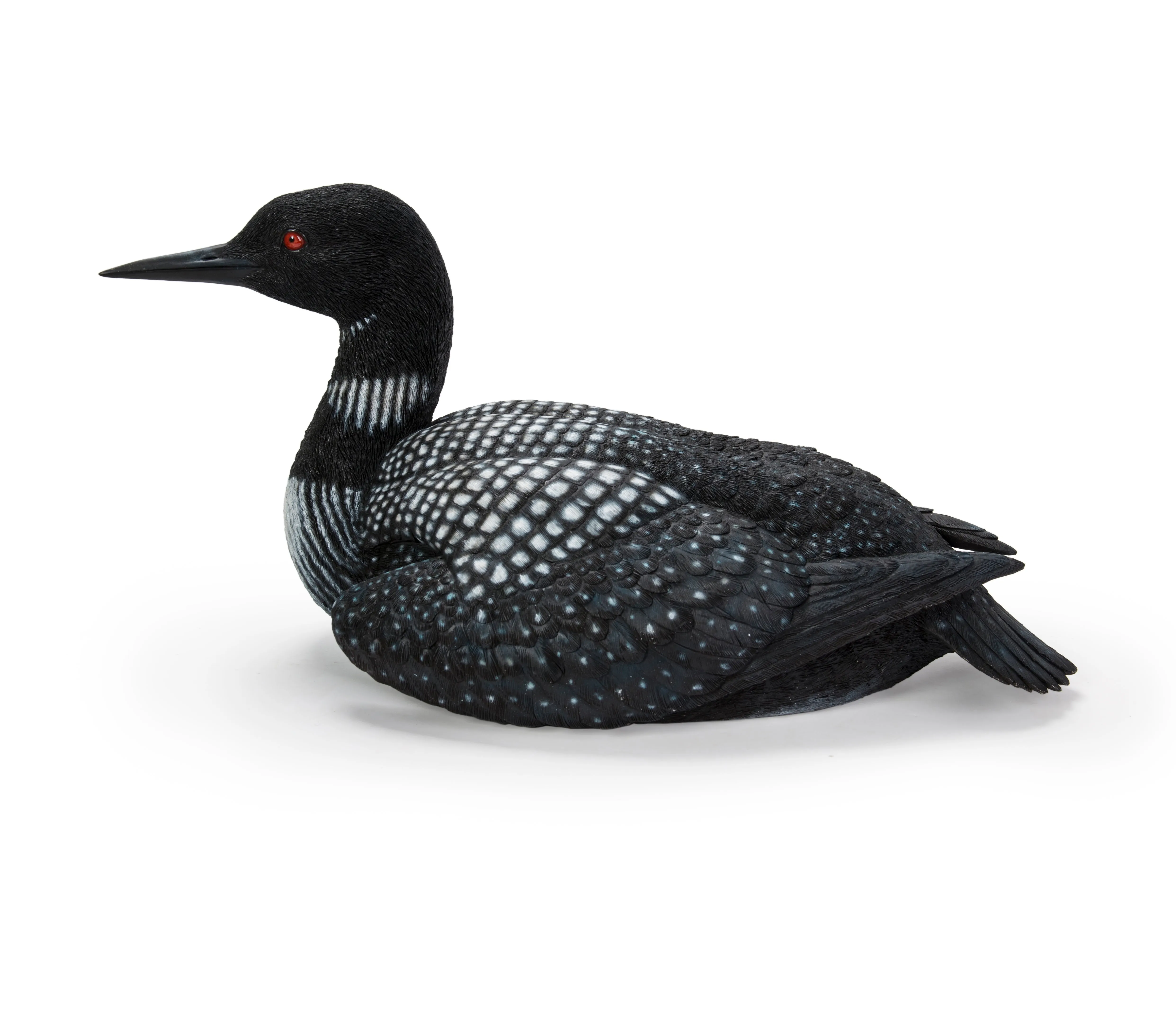 Sitting Common Loon Garden Statue