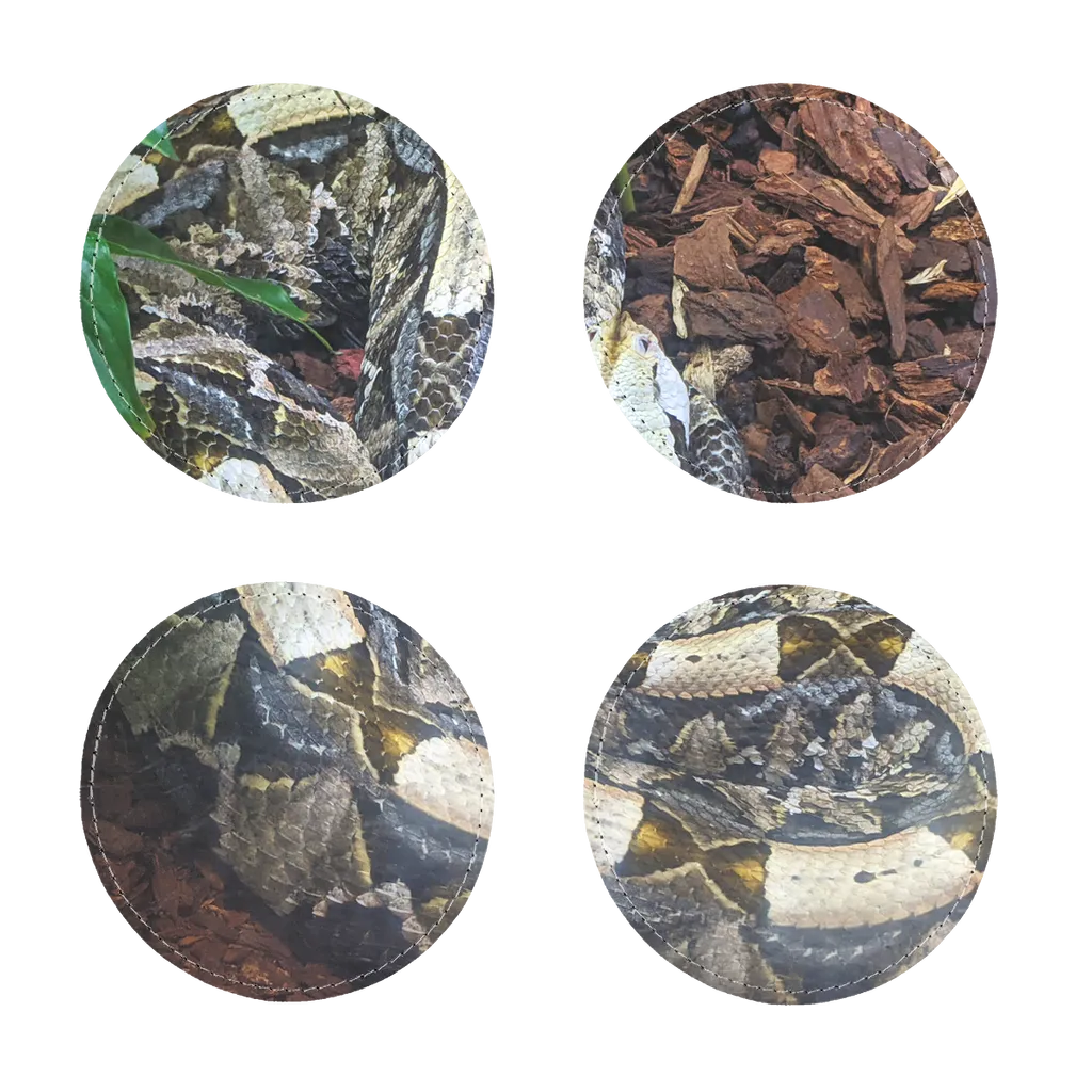 White Snake Sublimation Coasters Pack of Four